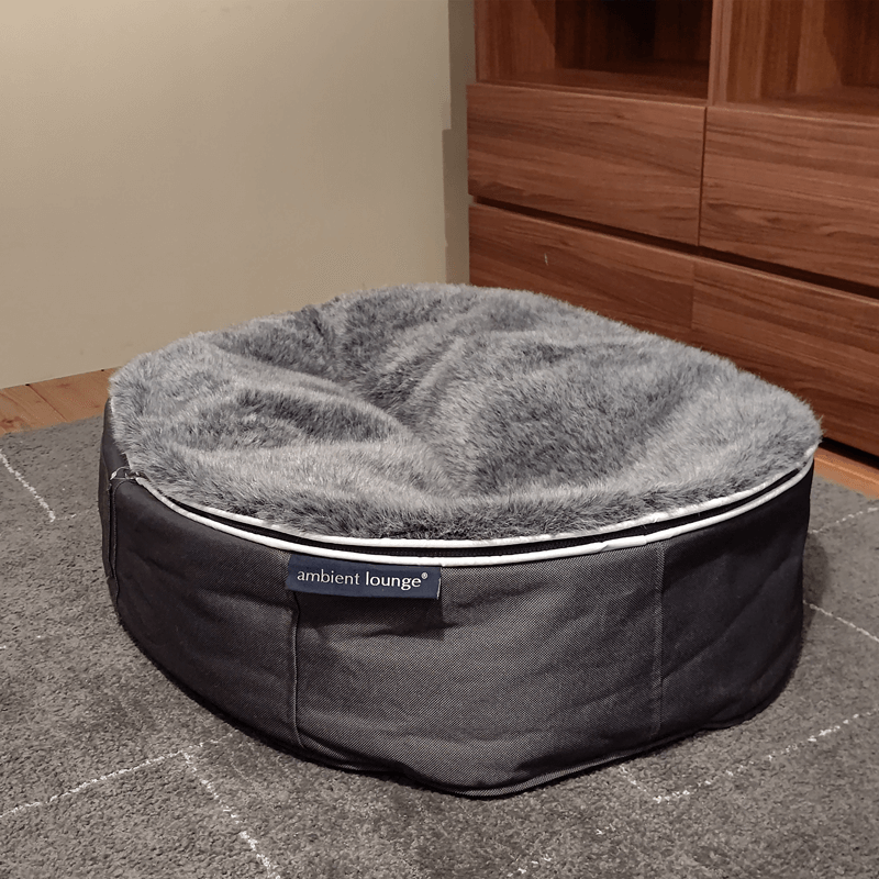 犬ペットラウンジ　M(展示品)