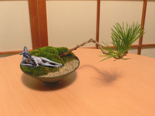 カンガルー+takubon.jpg