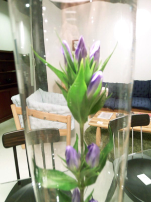 080920-5.jpg