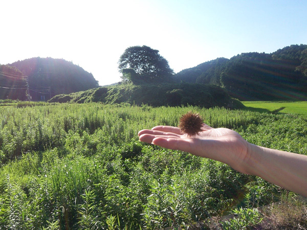 090829-1.jpg