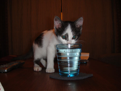 091020-5.jpg