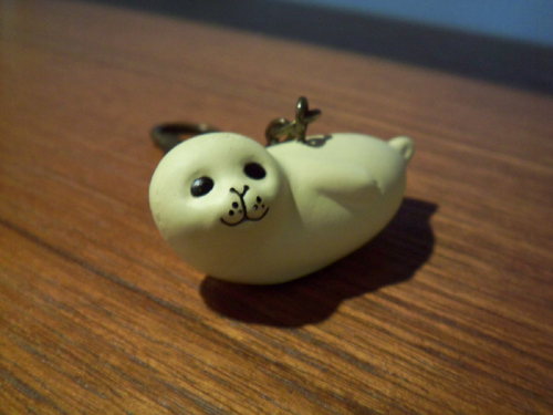 100_9319.jpg