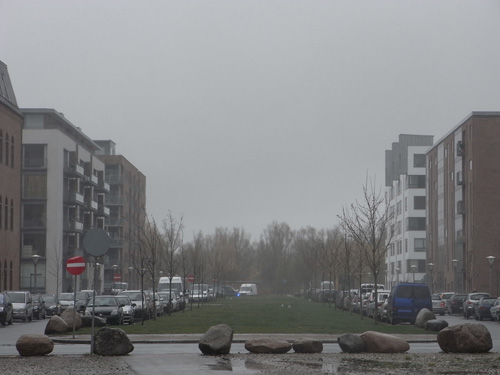 RIMG0215.JPG