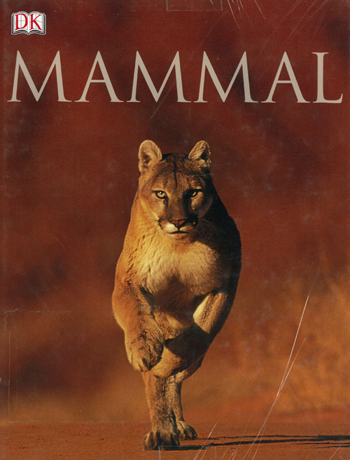 book-0002.jpg
