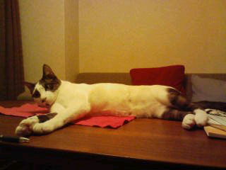 20100408003259.jpg