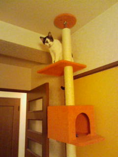 20100411222745.jpg