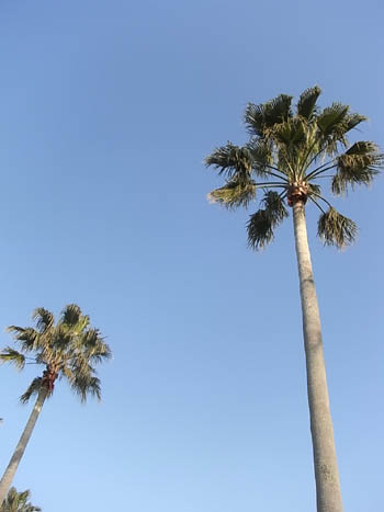 20110418-1.jpg