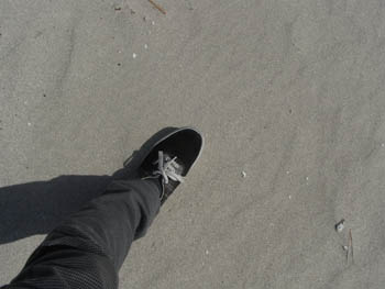 20110418-12.jpg
