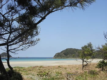 20110418-8.jpg