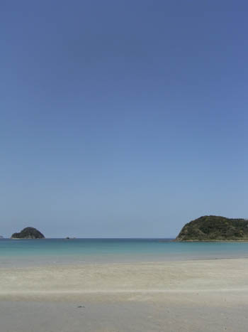 20110418-9.jpg