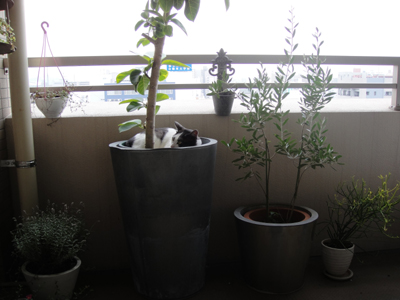 201110186.jpg