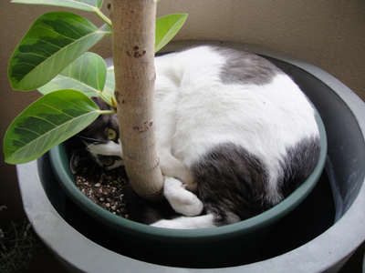 201110188.jpg