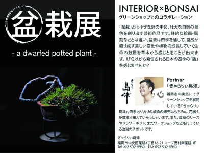 bonsai加工.jpg