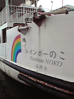 noko-3.jpg