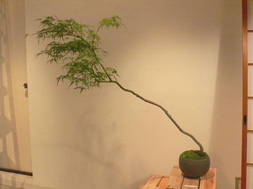 takubon 003.jpg