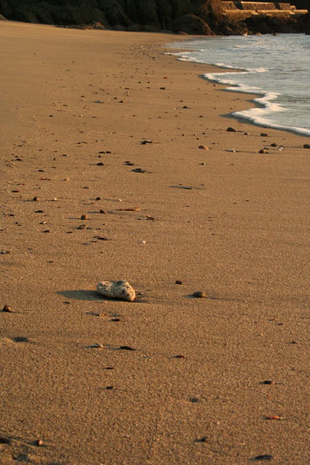 20121006-7.jpg