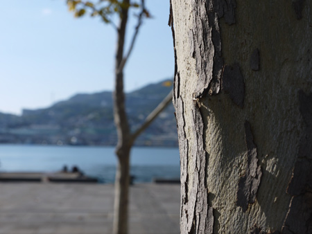 20121103-1.jpg