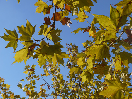 20121103-2.jpg
