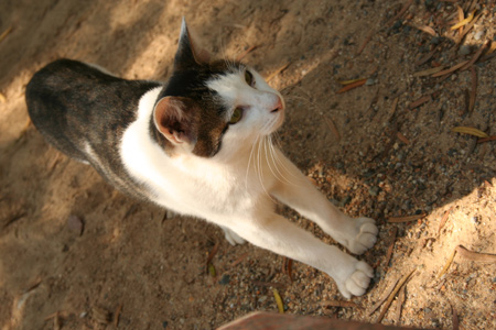 20121103-7.jpg