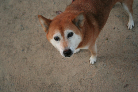 20121103-8.jpg