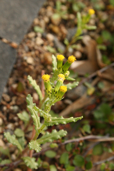 20130317-2.jpg