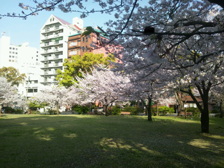 20130330-2.jpg