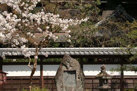 20130330-5.jpg