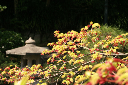 20130330-6.jpg