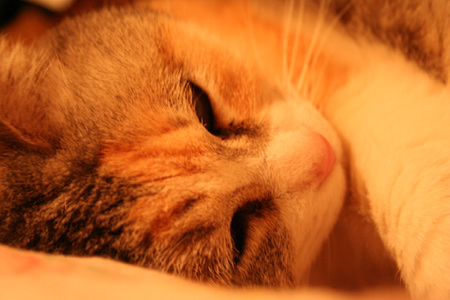 20130330-8.jpg