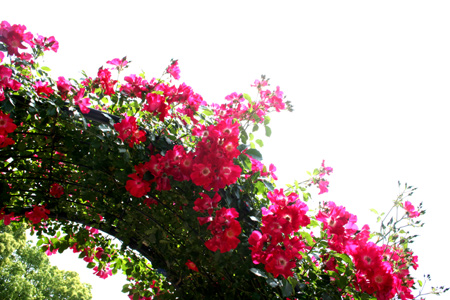 20130518-1.jpg