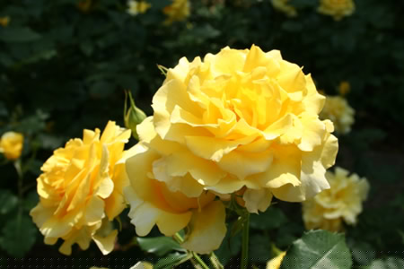 20130518-11.jpg
