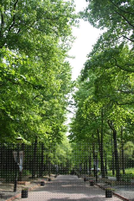 20130518-2.jpg