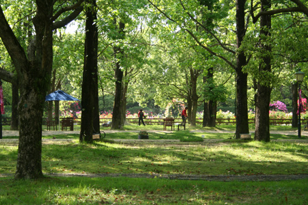 20130518-5.jpg