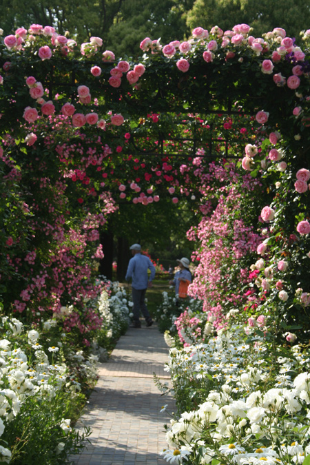 20130518-8.jpg