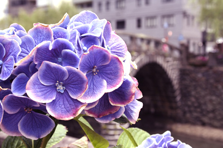 20130619-1.jpg