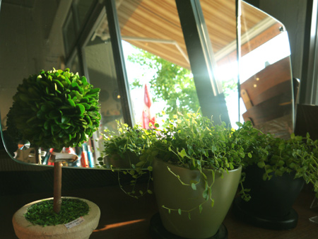 20130906-2.jpg