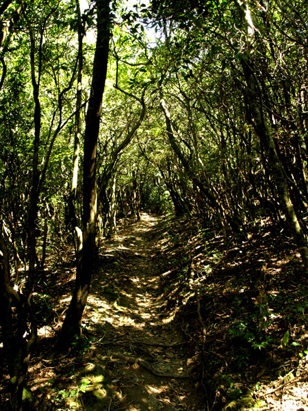 20130921-2.jpg