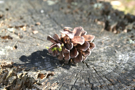 20130921-3.jpg