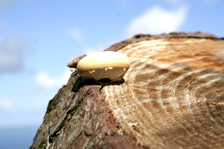 20130921-4.jpg