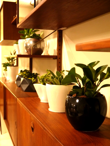 20140124-4.jpg