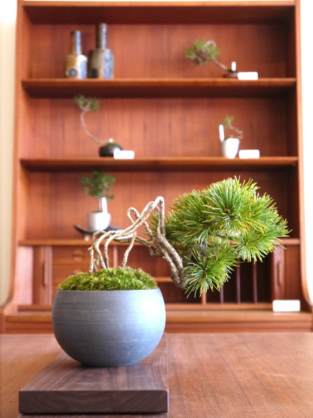 20140124-7.jpg
