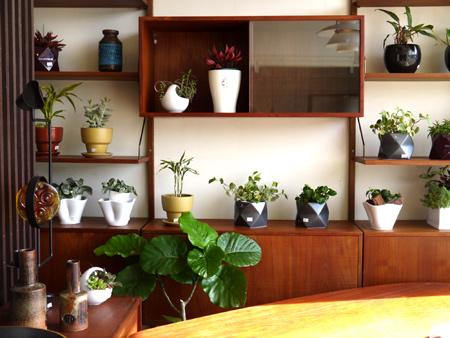 20140516-6.jpg
