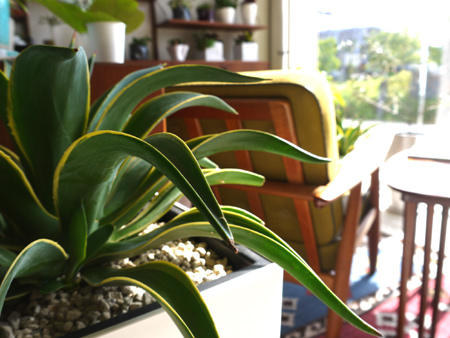 20140516-7.jpg