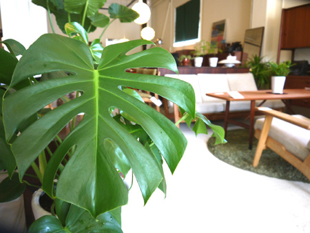 20140607-1.jpg