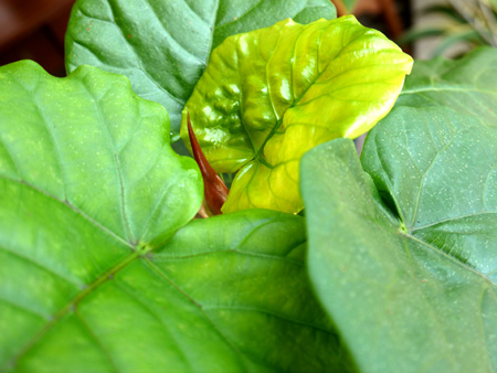 20140607-4.jpg