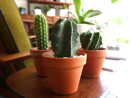 20140607-5.jpg