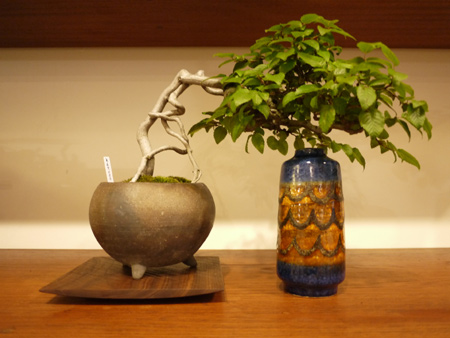 20140706-1.jpg