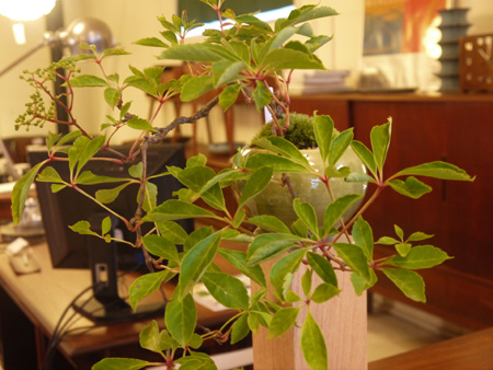 20140706-2.jpg