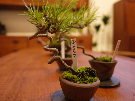 20140706-3.jpg