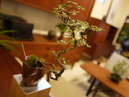 20140706-5.jpg